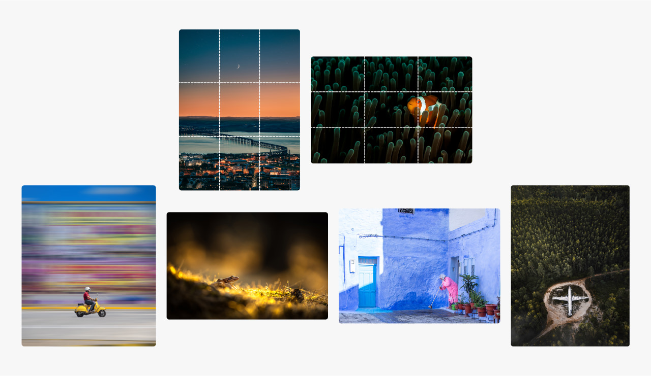 Focus How To Crop Your Photos Like A Pro A Beginner S Guide Focus How To Crop Your Photos Like A Pro A Beginner S Guide